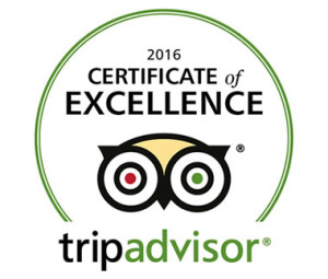 trip advisor logo