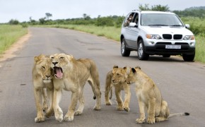 Kruger National Park